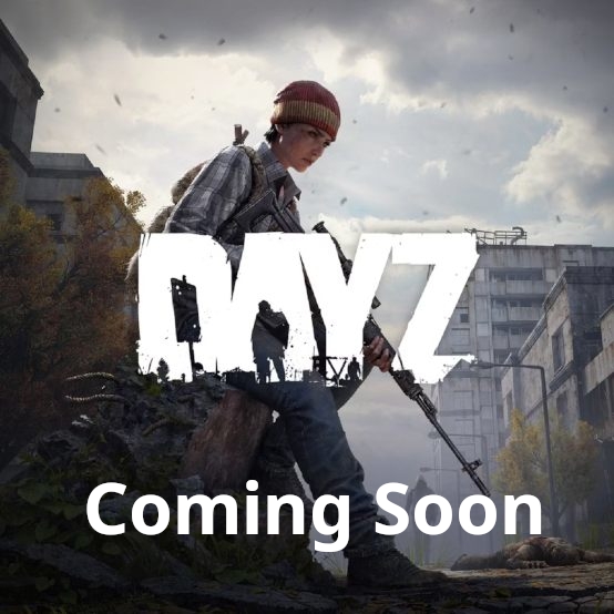 DayZ